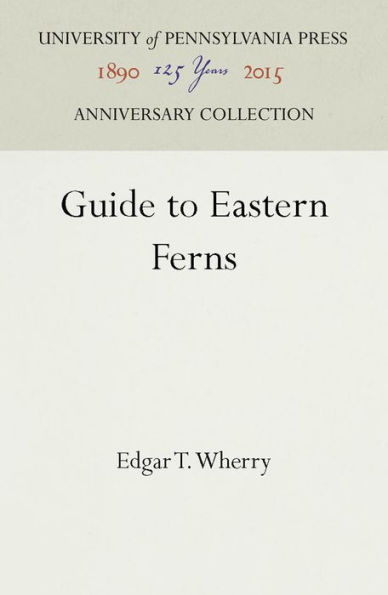 Guide to Eastern Ferns