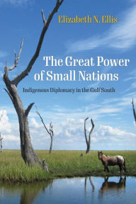 Mobile ebook download The Great Power of Small Nations: Indigenous Diplomacy in the Gulf South