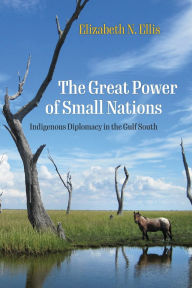 Title: The Great Power of Small Nations: Indigenous Diplomacy in the Gulf South, Author: Elizabeth N. Ellis