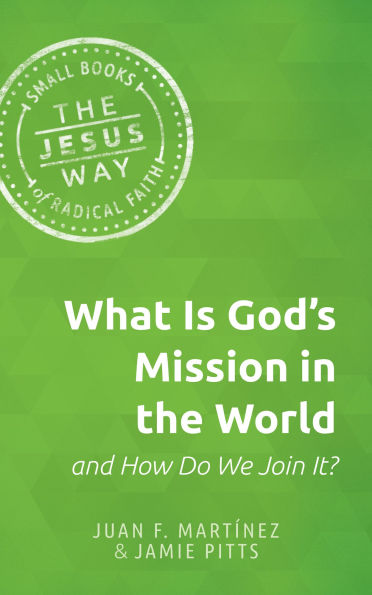 What is God's Mission the World and How Do We Join It?