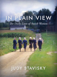 Title: In Plain View: The Daily Lives of Amish Women, Author: Judy Stavisky