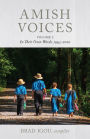 Alternative view 1 of Amish Voices, Volume 2: In Their Own Words 1993-2020