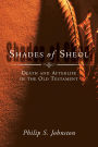 Shades of Sheol: Death and Afterlife in the Old Testament