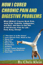 How I Cured Chronic Pain and Digestive Problems: What REALLY Causes Back Pain, Joint Pain, Arthritis, Indigestion and RLS, and How to Get Rid of All Chronic Pain for Life - Fast, Easy, Cheap!