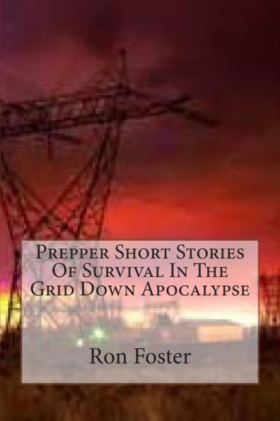 Prepper Short Stories Of Survival The Grid Down Apocalypse