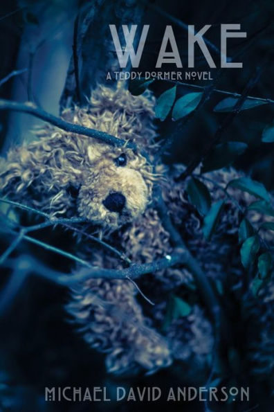 Wake: A Teddy Dormer Novel