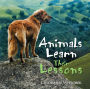 Animals Learn Their Lessons