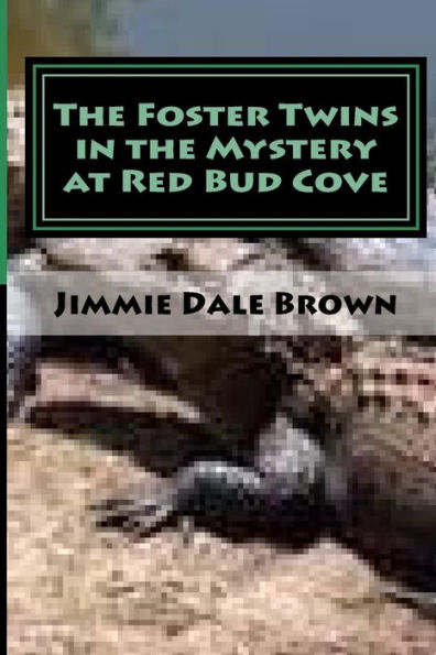 The Foster Twins in the Mystery at Redbud Cove: The Mysterious Ring