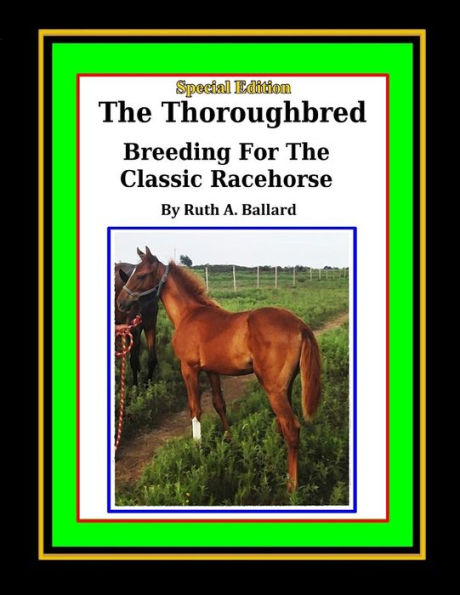 The Thoroughbred Breeding For The Classic Racehorse