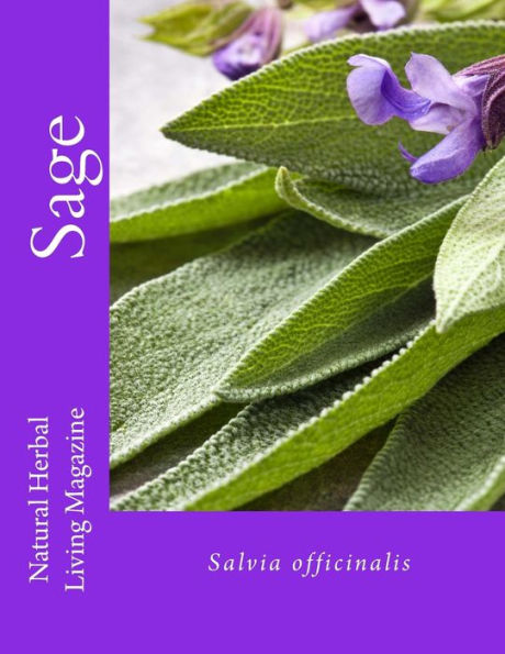 Sage - Salvia spp.