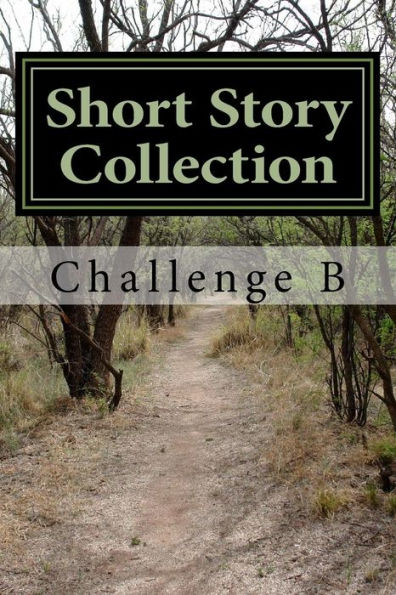 Challenge B: Short Story Collection By Challenge B, Paperback | Barnes ...