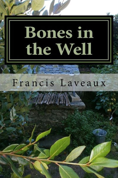 Bones in the Well
