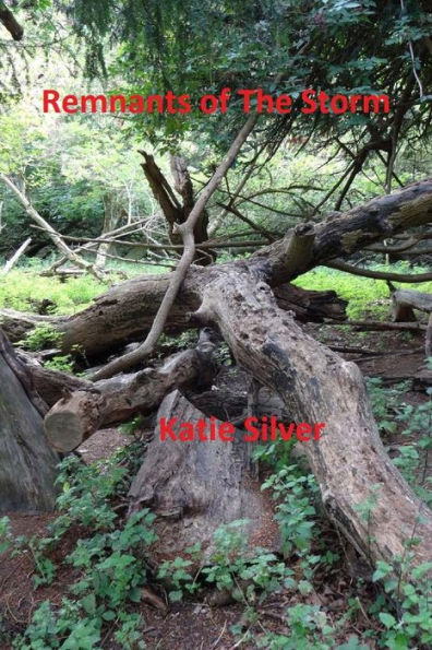 Remnants of the Storm: Storms Trilogy book 3