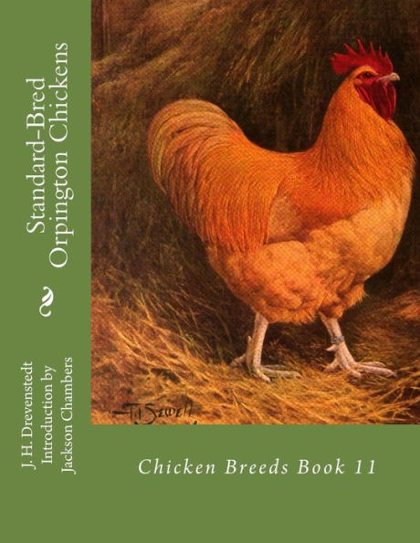 Standard-Bred Orpington Chickens: Chicken Breeds Book 11