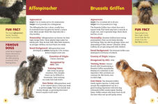 Alternative view 3 of Chihuahuas, Pomeranians, and Other Toy Dogs