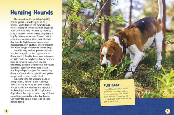 Foxhounds, Coonhounds, and Other Hound Dogs