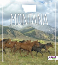 Title: Montana, Author: Bridget Parker