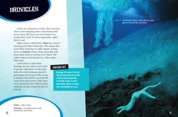 the Science Behind Wonders of Water: Exploding Lakes, Ice Circles, and Brinicles