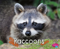 Title: Raccoons, Author: G.G. Lake