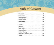 Alternative view 3 of Food Chains and Webs