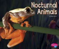 Title: Nocturnal Animals, Author: Abbie Dunne