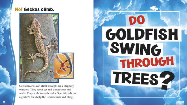 Do Goldfish Fly?: A Question and Answer Book about Animal Movements