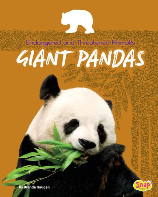 Giant Pandas by Brenda Haugen | eBook | Barnes & Noble®