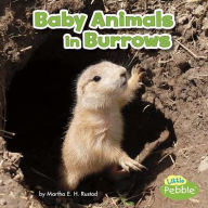 Title: Baby Animals in Burrows, Author: Martha E. H. Rustad