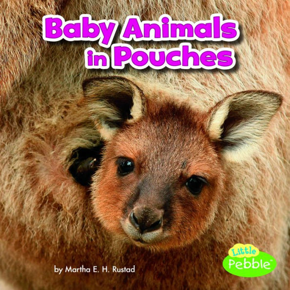 Baby Animals Pouches