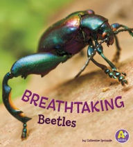 Title: Breathtaking Beetles, Author: Catherine Ipcizade