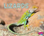 Lizards