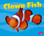 Clown Fish