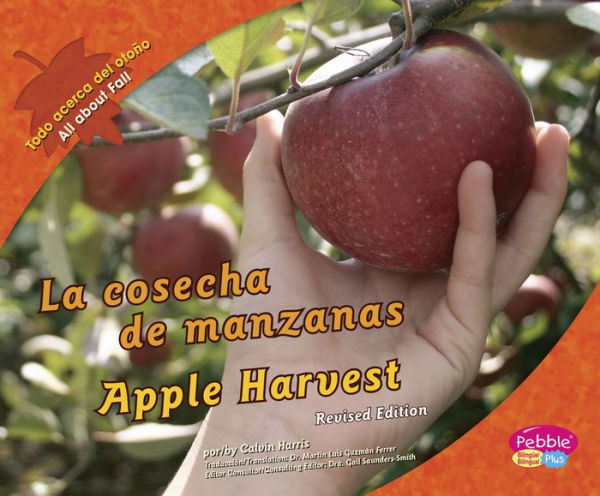 cosecha de manzanas/Apple Harvest