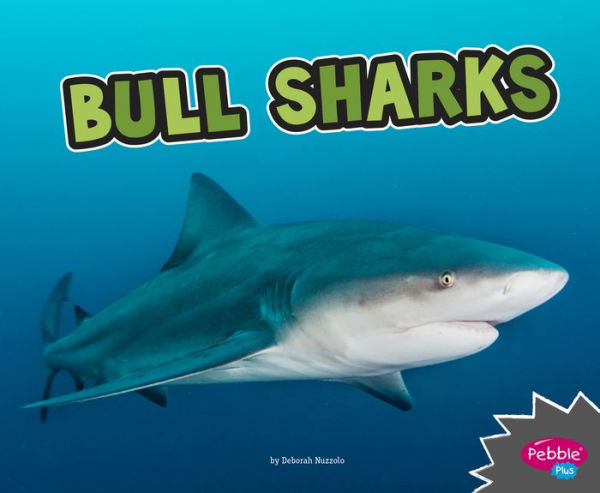 Bull Sharks