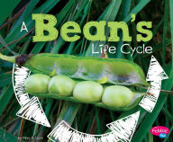 Title: A Bean's Life Cycle, Author: Mary R. Dunn