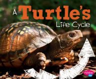 Title: A Turtle's Life Cycle, Author: Mary R. Dunn