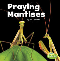 Title: Praying Mantises, Author: Lisa J. Amstutz
