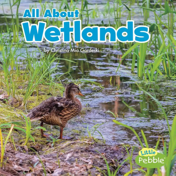 All About Wetlands