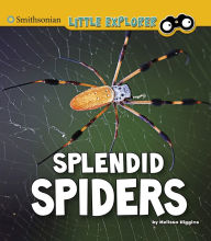 Title: Splendid Spiders, Author: Melissa Higgins