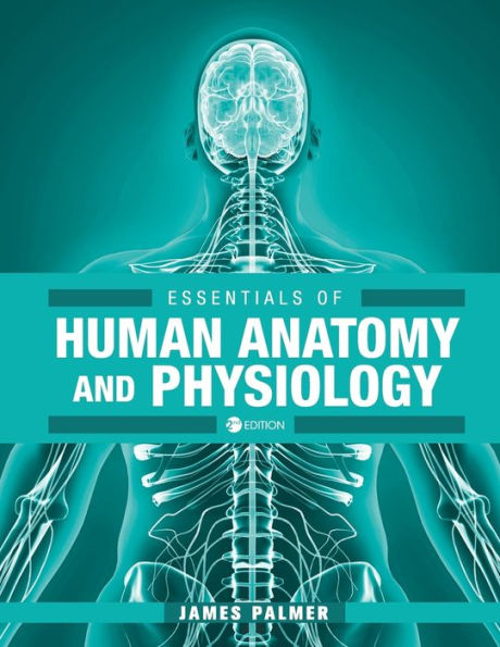 Essentials of Human Anatomy and Physiology / Edition 2