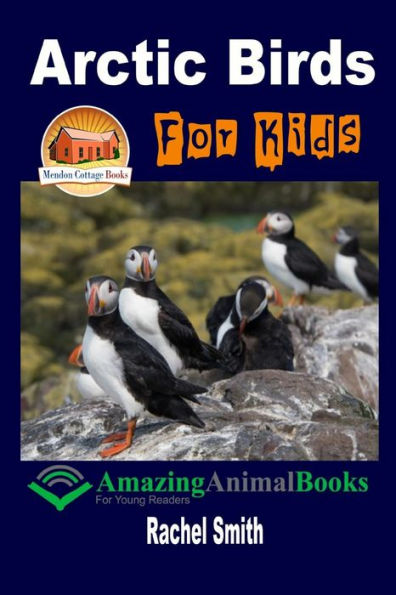 Arctic Birds For Kids