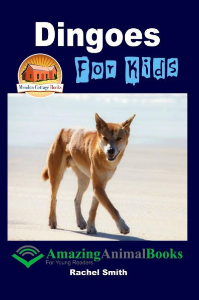 Dingoes For Kids