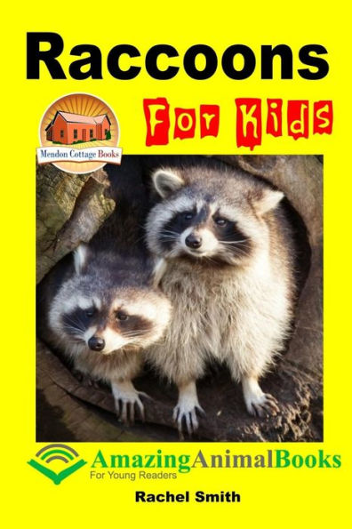 Raccoons For Kids