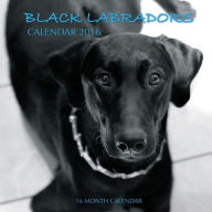 Title: Black Labradors Calendar 2016: 16 Month Calendar, Author: Jack Smith