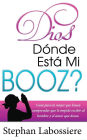 Dios Donde Esta Mi Booz?: Guía para la mujer que busca comprender que le impide recibir al hombre y el amor que desea. (Spanish Edition)