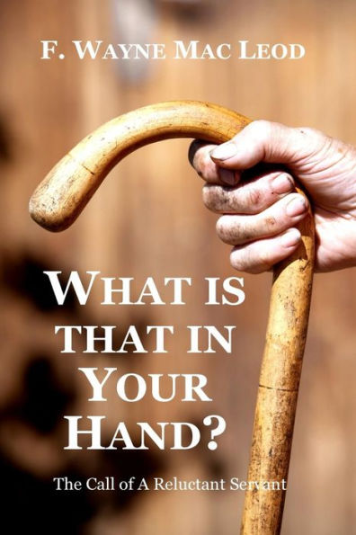 What is That in Your Hand?: The Call of a Reluctant Servant