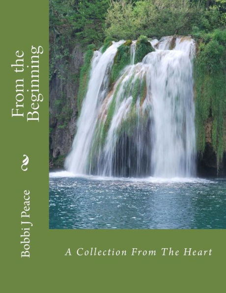 From the Beginning: A Collection From The Heart