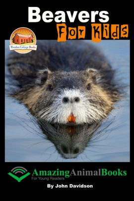 Beavers For Kids - Amazing Animal Books for Young Readers by Annalee ...