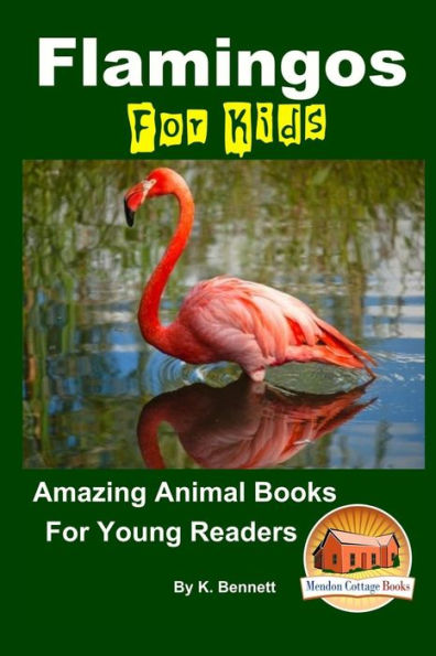 Flamingos For Kids Amazing Animal Books For Young Readers