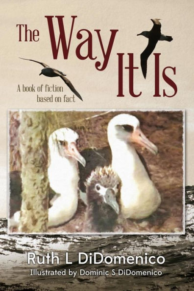 The Way It Is: A Book of Fiction Based on Fact